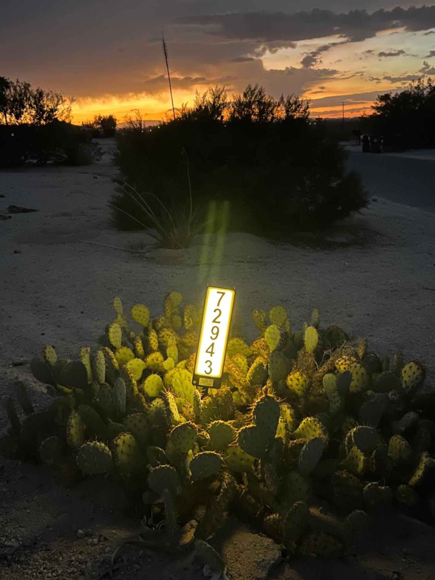 Хостел Bodhi House, Joshua Tree National Park Туэнтинайн-Палмс Экстерьер фото